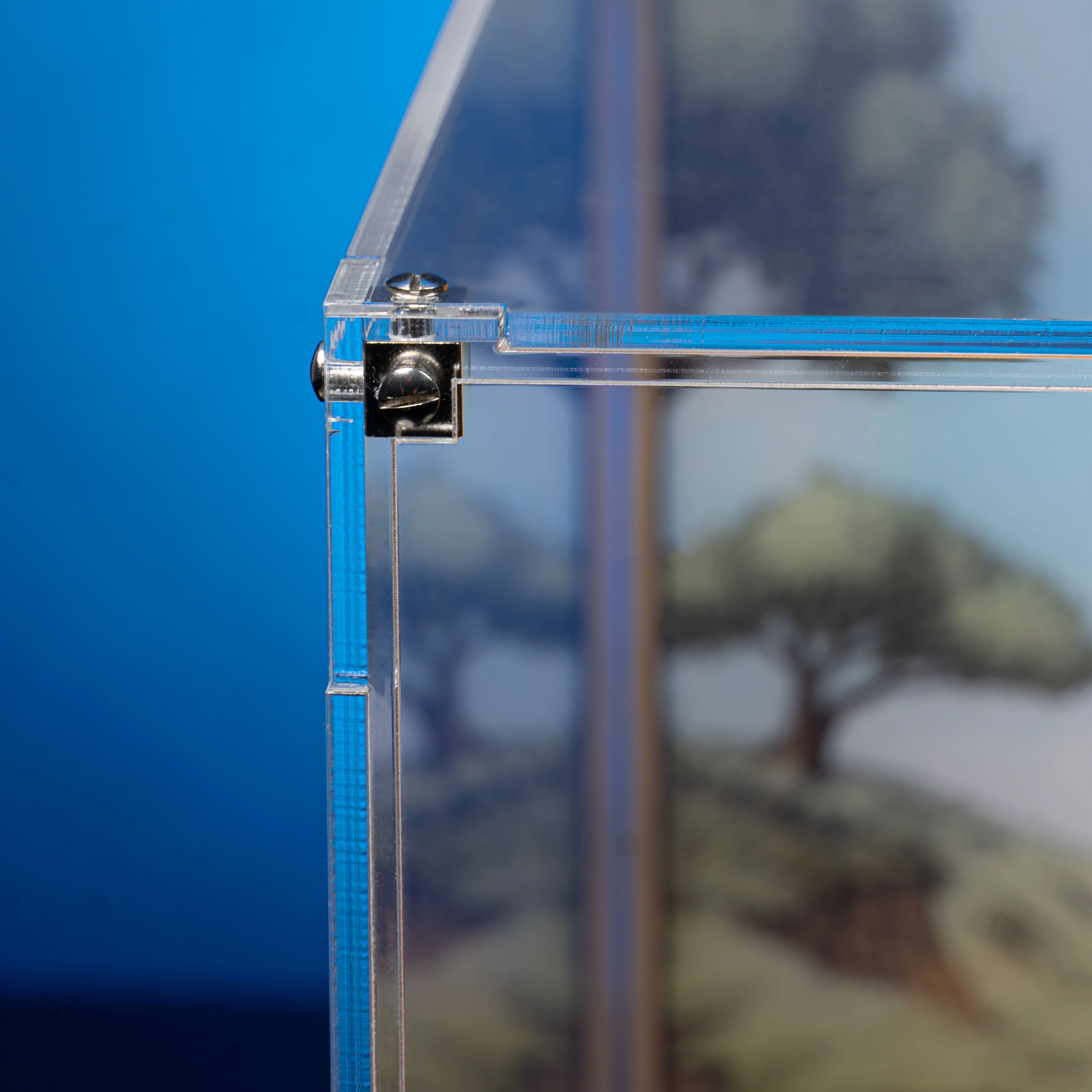 Limited Edition Display Case for LEGO® Disney Winnie the Pooh (43300) - Image 4