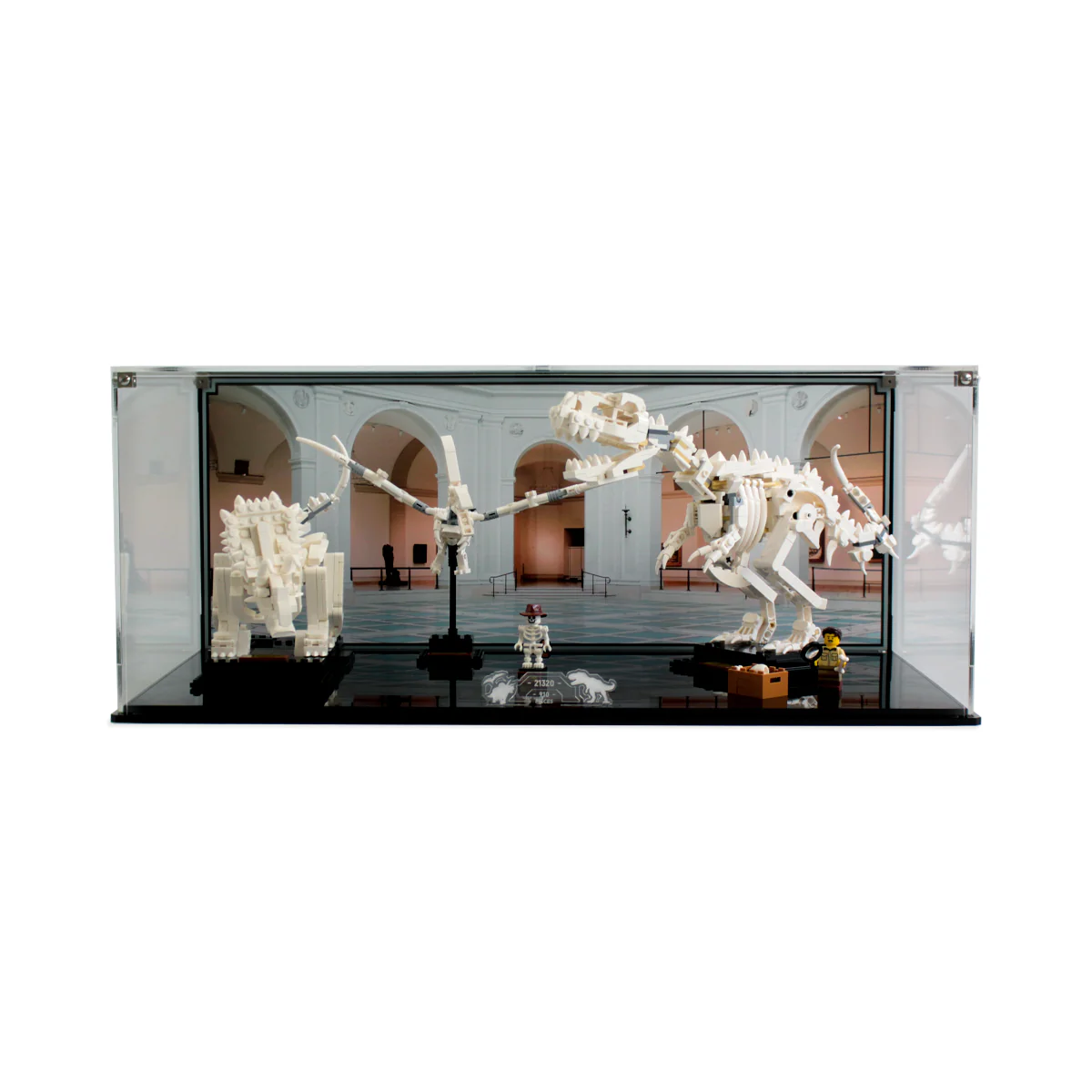 Display Case for LEGO® Ideas: Dinosaur Fossils (21320)