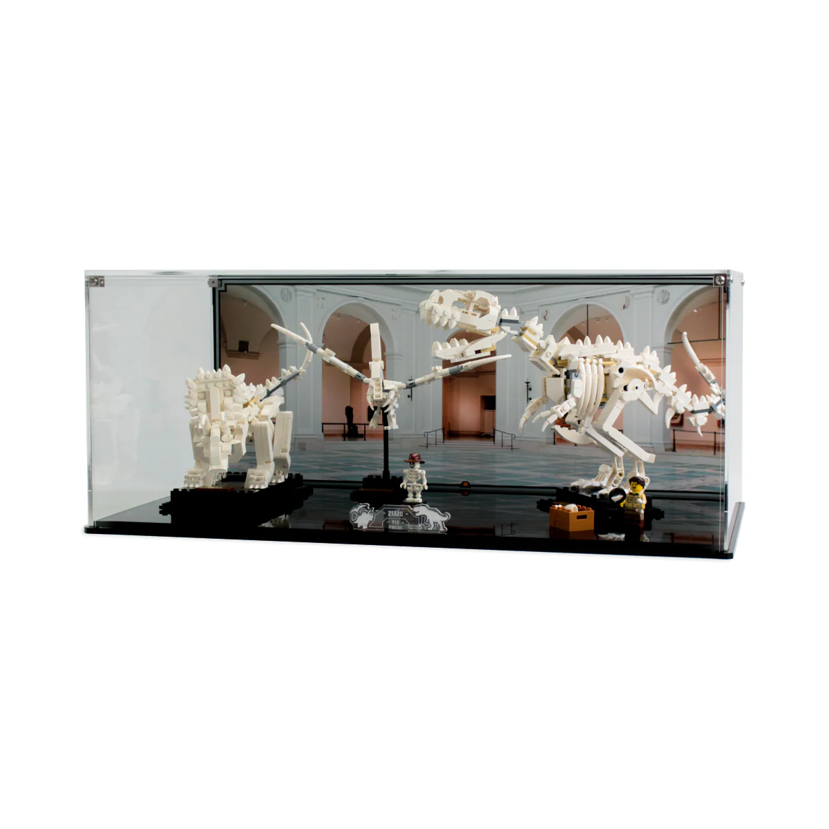 Display Case for LEGO® Ideas: Dinosaur Fossils (21320) - Image 2