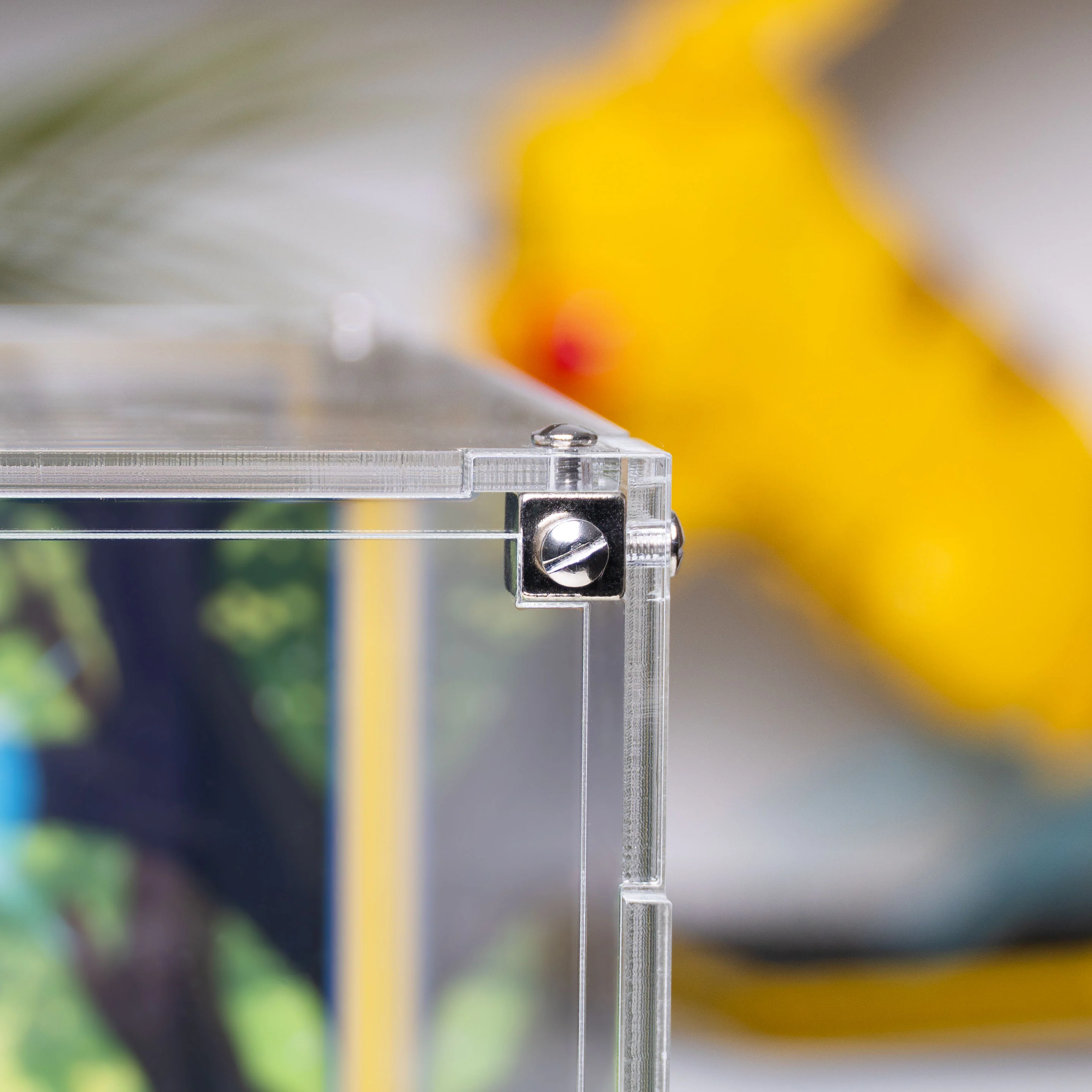 Display Case for LEGO® Pokémon™: Eevee (72151) - Image 14