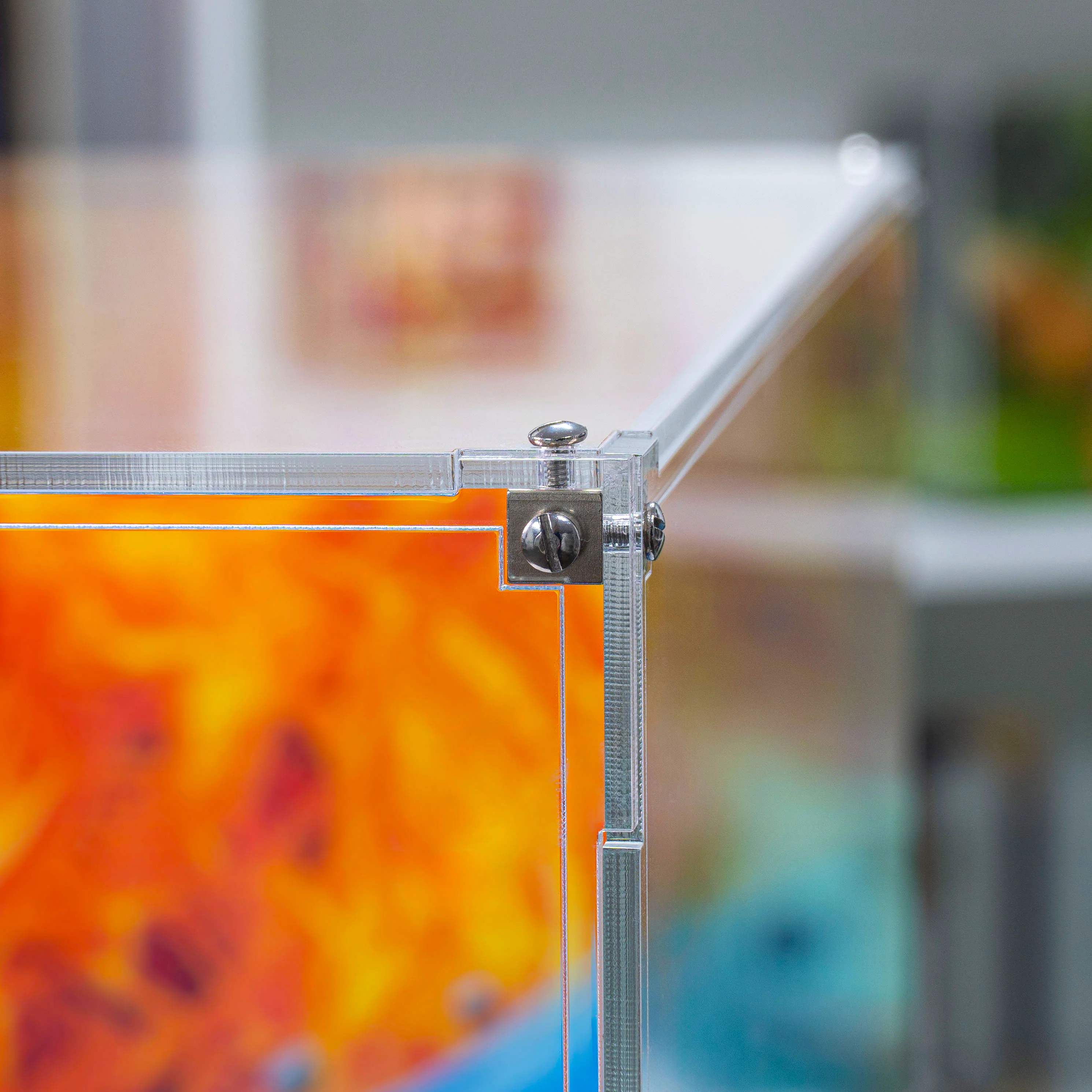 Display Case for LEGO® Pokémon™: Venusaur, Charizard and Blastoise (72153) - Image 14