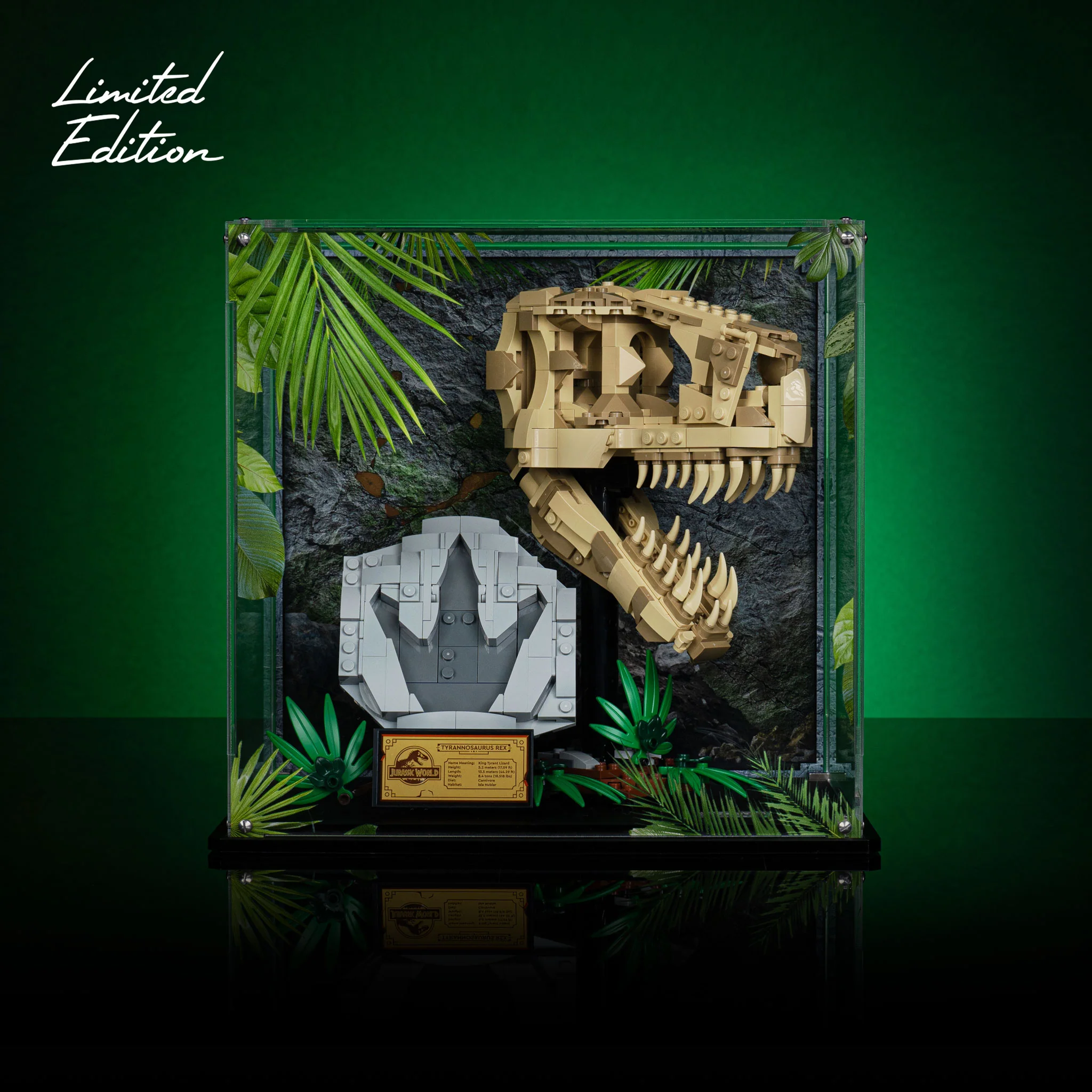 Limited Edition Display Case for LEGO® Jurassic World: Dinosaur Fossils: T. rex Skull (76964) - Image 2